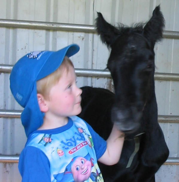 Jonathan with colt